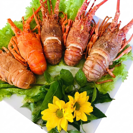 TÔM HÙM BIỂN