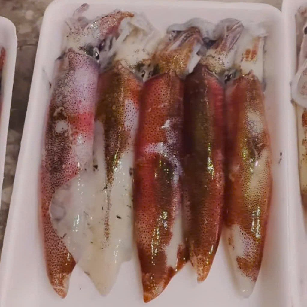 MỰC NHÁY CẤP ĐÔNG