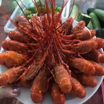 TÔM HÙM BIỂN